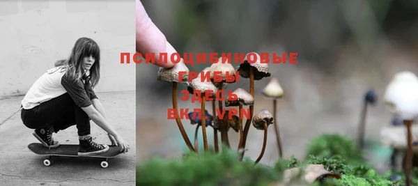 а пвп мука Алзамай