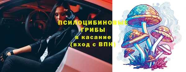 а пвп мука Алзамай